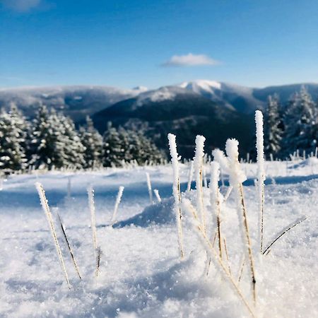Panorama 19 Daire Špindlerŭv Mlýn Dış mekan fotoğraf